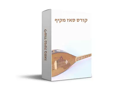 לימוד סאז, לימוד נגינה על סאז